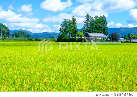 秋の農村風景 93843466