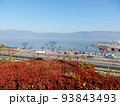 秋の紅葉の季節、青空の下、諏訪湖とその対岸の山を望む。 93843493