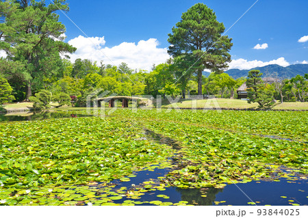 【衆楽園 (旧津山藩別邸庭園)】 岡山県津山市山北 93844025
