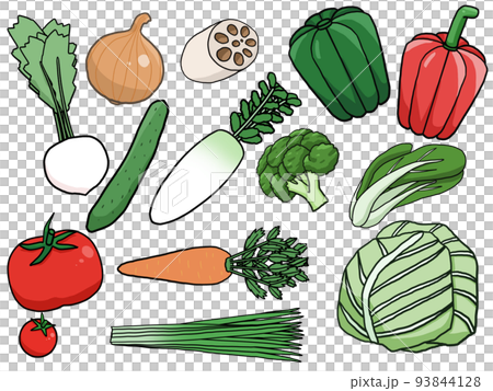 野菜のイラストセット 93844128