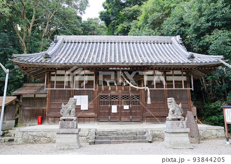 大阪　羽曳野市　杜本神社の拝殿（晩夏） 93844205