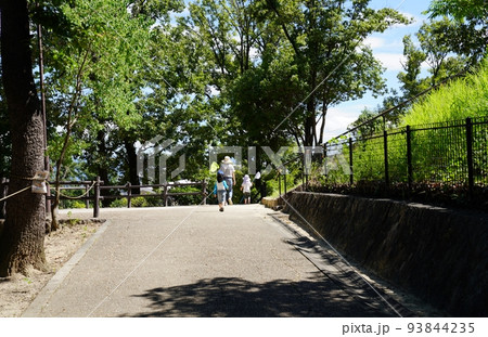 大阪　羽曳野市　峰塚公園　虫取りの家族（晩夏） 93844235