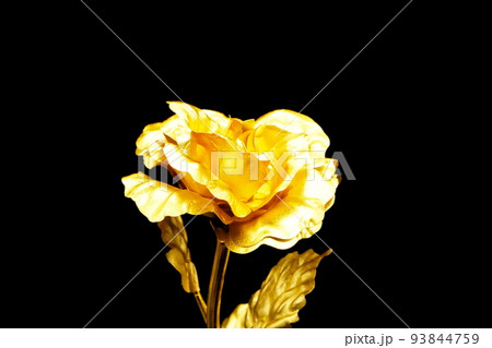 金色に輝く薔薇の花 ゴールドローズ 金色に輝く薔薇の花 ゴールドローズ 93844759