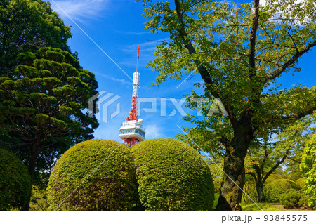 宇都宮タワーと青空 93845575