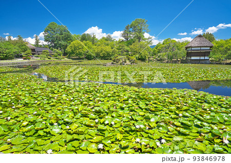 【衆楽園 (旧津山藩別邸庭園)】 岡山県津山市山北 93846978