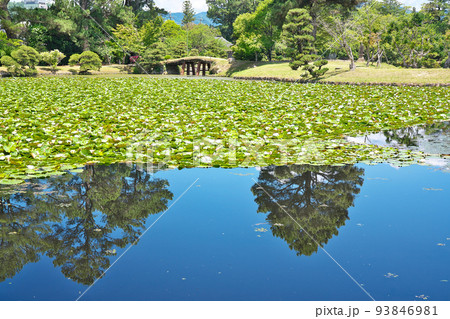 【衆楽園 (旧津山藩別邸庭園)】 岡山県津山市山北 【衆楽園 (旧津山藩別邸庭園)】 岡山県津山市山北 93846981