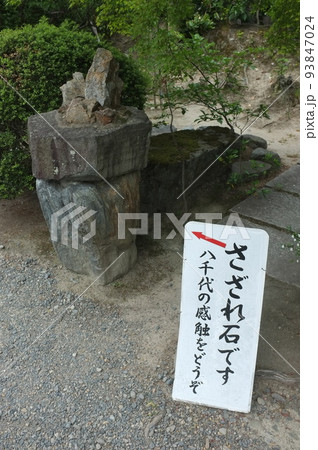 京都　勧修寺の庭にあるさざれ石 93847024
