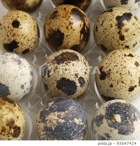 Quail eggs on a white background Quail eggs on a white background 93847424