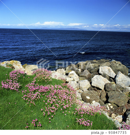 beach with stones and turquoise sea water 93847735