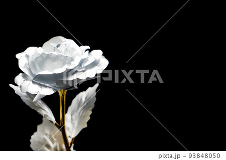 銀色に輝く薔薇の花 シルバーローズ 銀色に輝く薔薇の花 シルバーローズ 93848050