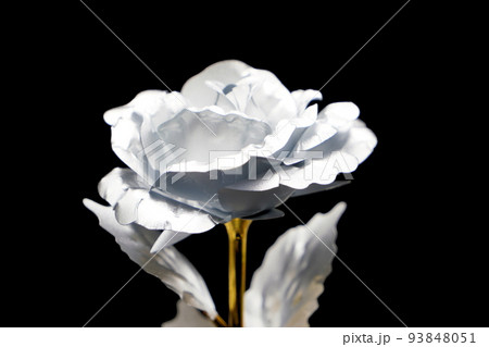 銀色に輝く薔薇の花 シルバーローズ 93848051