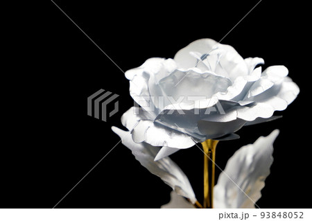 銀色に輝く薔薇の花 シルバーローズ 銀色に輝く薔薇の花 シルバーローズ 93848052
