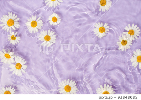 Daisy flower floating in the circular waves turquoise splashing water. Creative floral, skin care concept. Minimal spa natural composition, eco organic cosmetic. Spring or summertime idea. 93848085