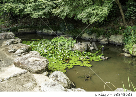 宇倍神社　神池　鳥取県鳥取市 93848633