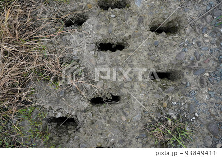 越谷陸軍飛行場跡の暗渠化された排水施設 越谷陸軍飛行場跡の暗渠化された排水施設 93849411