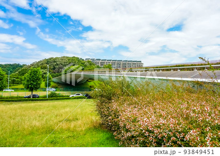 稲城中央公園くじら橋(東京都稲城市稲城中央公園) 稲城中央公園くじら橋(東京都稲城市稲城中央公園) 93849451