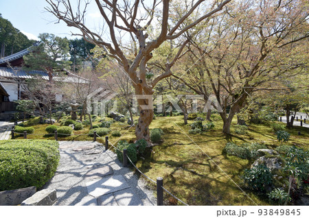 円光寺 庭園 京都市左京区一乗寺 円光寺 庭園 京都市左京区一乗寺 93849845
