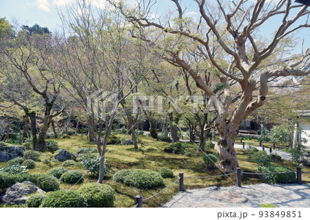 円光寺 庭園 京都市左京区一乗寺 円光寺 庭園 京都市左京区一乗寺 93849851