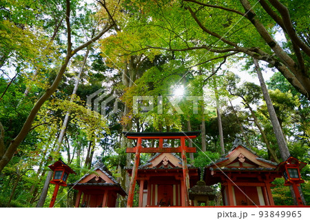 海住山寺・境内の三社 93849965