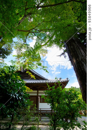 海住山寺・本堂 93849966