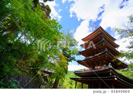 海住山寺・夏の終わり秋雲の爽やかな国宝五重塔 海住山寺・夏の終わり秋雲の爽やかな国宝五重塔 93849969