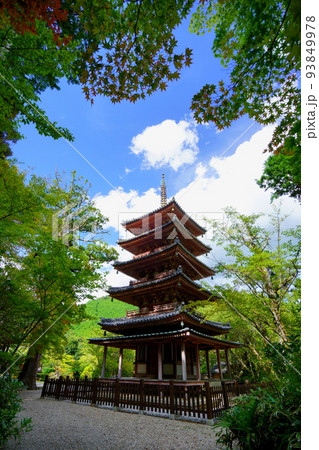 海住山寺・夏の終わり秋雲の爽やかな国宝五重塔 海住山寺・夏の終わり秋雲の爽やかな国宝五重塔 93849978