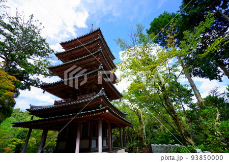 海住山寺・夏の終わり秋雲の爽やかな国宝五重塔 海住山寺・夏の終わり秋雲の爽やかな国宝五重塔 93850000