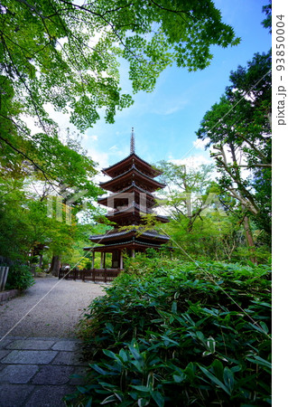 海住山寺・夏の終わり秋雲の爽やかな国宝五重塔 93850004