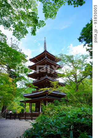 海住山寺・夏の終わり秋雲の爽やかな国宝五重塔 海住山寺・夏の終わり秋雲の爽やかな国宝五重塔 93850005