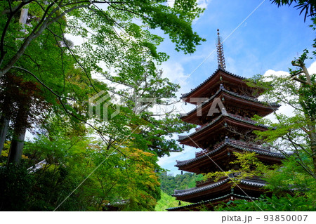 海住山寺・夏の終わり秋雲の爽やかな国宝五重塔 海住山寺・夏の終わり秋雲の爽やかな国宝五重塔 93850007