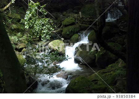 金目川の陽のあたる上流の写真素材 [93850384] - PIXTA