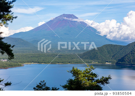 中之倉峠から見る富士山 中之倉峠から見る富士山 93850504