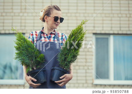 girl gardener prepares thuja seedlings for planting in the garden 93850788