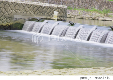 河辺を散歩 93851310