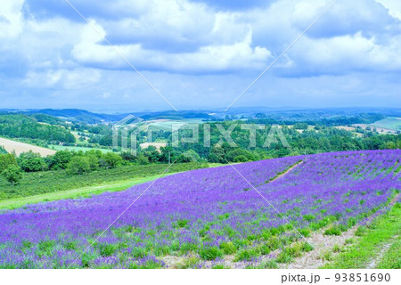　深山峠　北海道　美瑛　 93851690