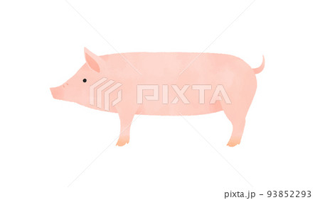 豚 93852293