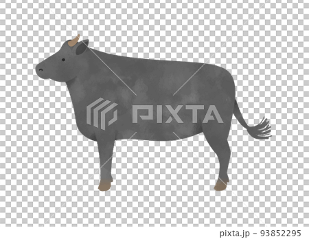 Japanese beef Japanese beef 93852295