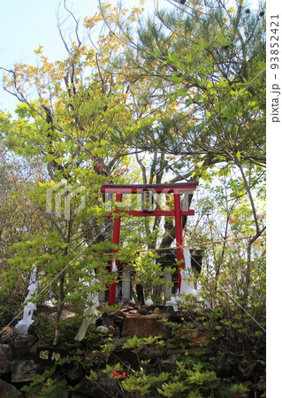 鳴神山 鳴神山 93852421