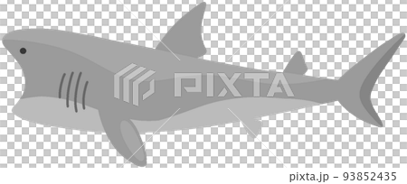 ウバザメ 93852435