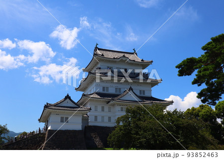 夏の小田原城 93852463