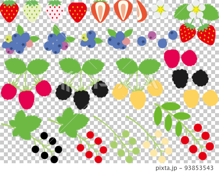 ベリー類P 93853543