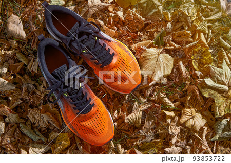 Orange running shoes on the background of yellow autumn fallen leaves in the autumn park 93853722