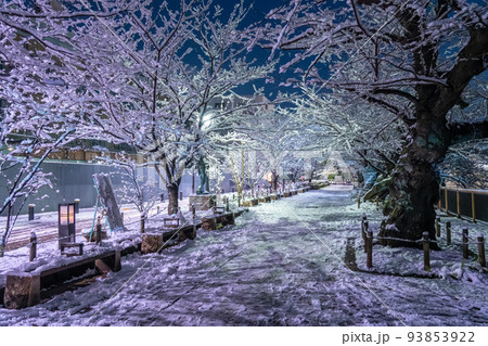 《東京都》大雪の東京・積雪の千鳥ヶ淵 《東京都》大雪の東京・積雪の千鳥ヶ淵 93853922