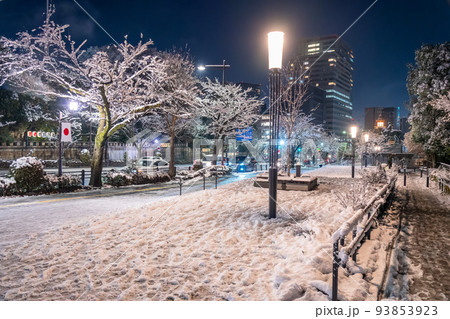 《東京都》大雪の東京・積雪の靖国通り 93853923