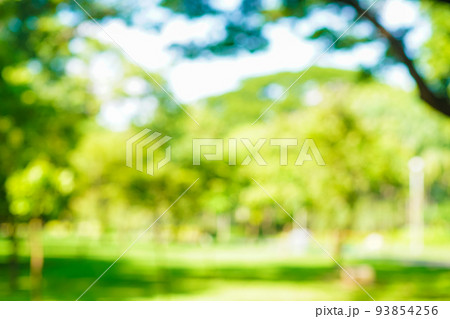 Abstract blurred green city park with tree bokeh Abstract blurred green city park with tree bokeh 93854256