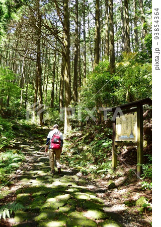 箱根町　箱根旧街道石畳とハイカーと石畳の構造案内板 93854364