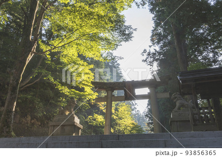 211008日枝神社z056 211008日枝神社z056 93856365