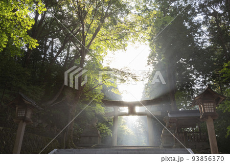 211008日枝神社z019 211008日枝神社z019 93856370