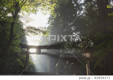 211008日枝神社z015 211008日枝神社z015 93856371