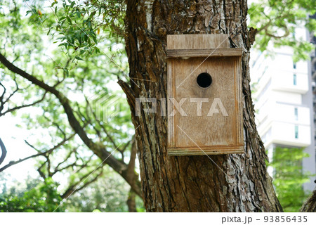 a bee hotel, Insect hotel on the tree a bee hotel, Insect hotel on the tree 93856435